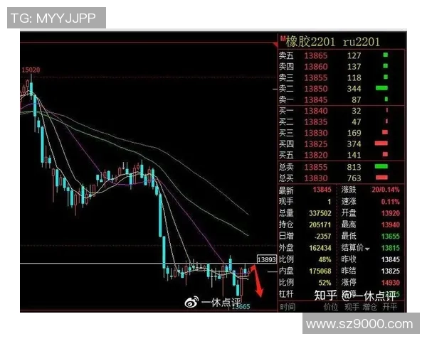 杭州乒乓球队在洲际杯中的技术表现分析与点评